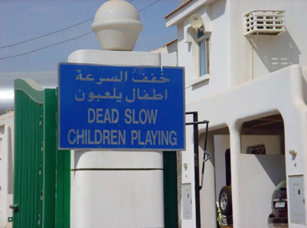 Reddit Funny Mistranslations 1 Dead Slow Children Playing