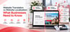 Website Translation vs Website Localization